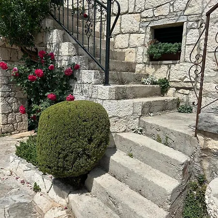 Lovre Topic Baška Voda